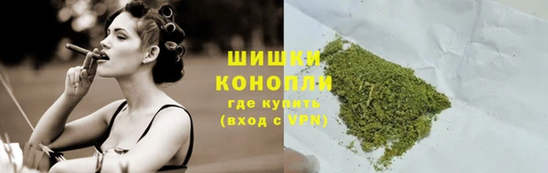 spice Верея